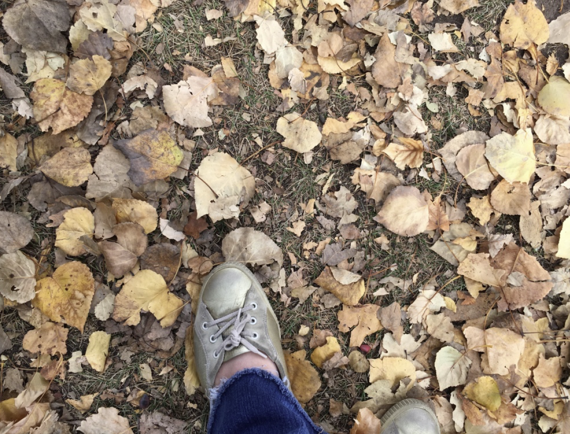 leaves and shoes